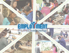 Employment Fund Web Based Database for Training Management